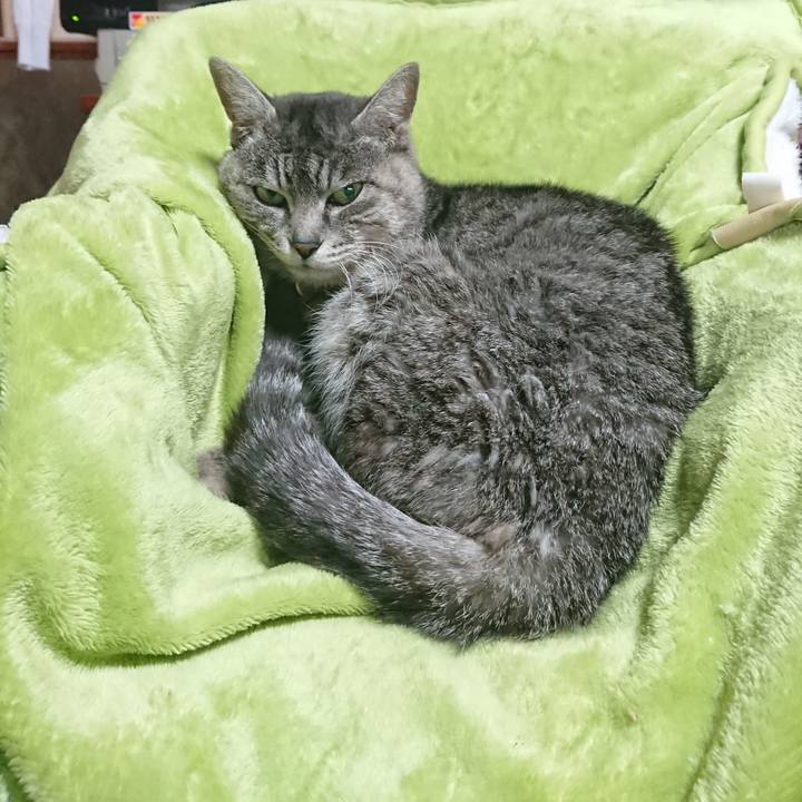 976f8050 0490 4397 af60 7c272c6351e9 1584049519075