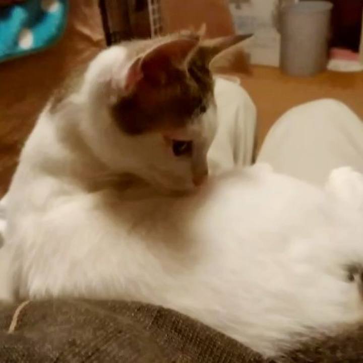 976f878c cae3 4ff9 b6c2 ddd991ed5792 1638362703576