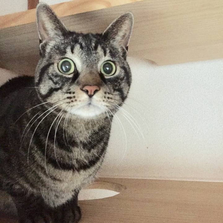 976f9cf3 26bc 4516 9b8c df7b0601606b 1611129035102