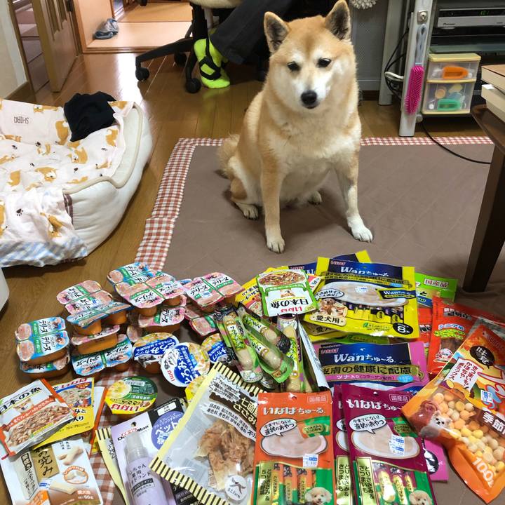 976fb036 309d 4a85 8654 17cfb62a7216 1556599821550