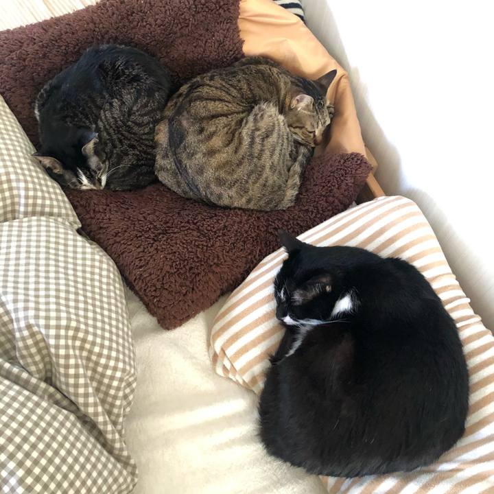 976fbc0f f732 48ac b352 6fa6d27d39f3 1612691370956