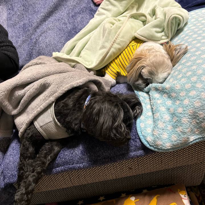 976fd5ed 1af4 472b 95f6 6b63ea197cce 1712320408177