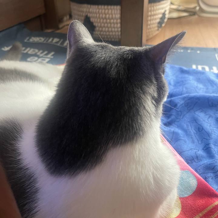 976feb04 71bc 41a5 9b84 e98eb65f9413 1695336340611