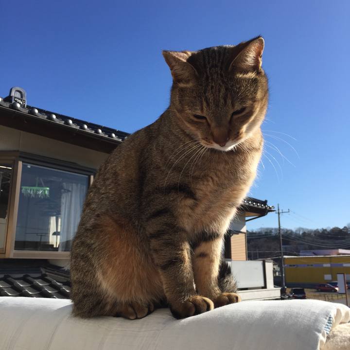 9770046d c630 4197 ab04 75387e9f98d5 1515807264709