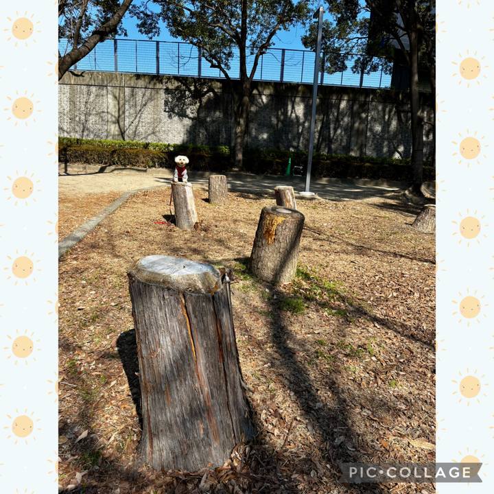 97701e75 83b4 40d2 baec 08947027e3ff 1771743574564