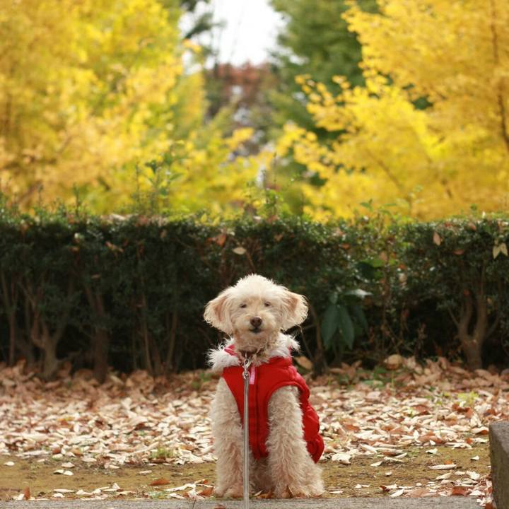 977036e4 678a 43dd 8282 f001c1d9b87f 1606400011286