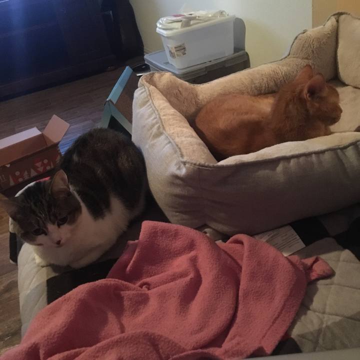 97704da1 c748 4d39 bce5 e8c2c00bf2b3 1689251509496