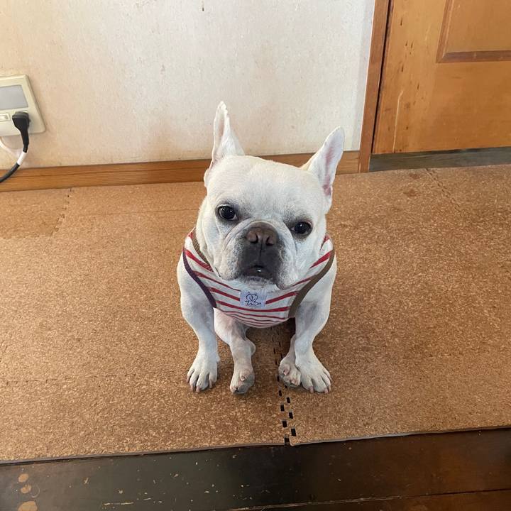 97709a7b 0607 4e33 bdc8 eddd90b410b2 1739602728088