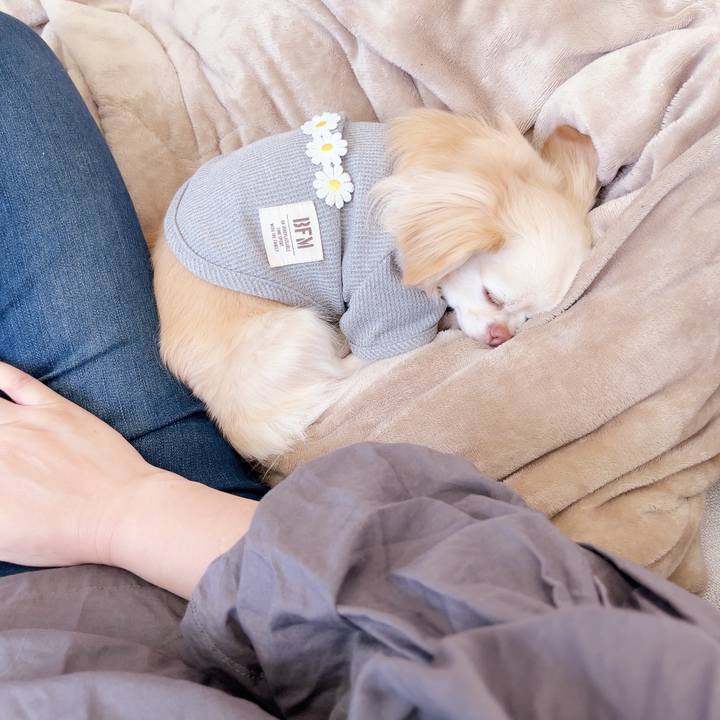 9770ca18 cab5 4fe9 a5d4 1b4b2199a931 1747096615519