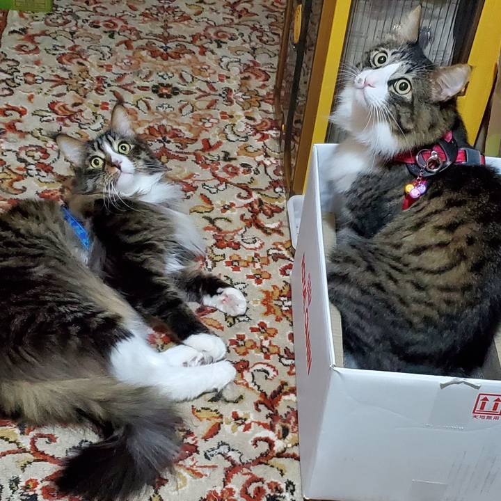 9770d284 625f 4b93 b60b 3ac5a6ed1a7d 1733535791383