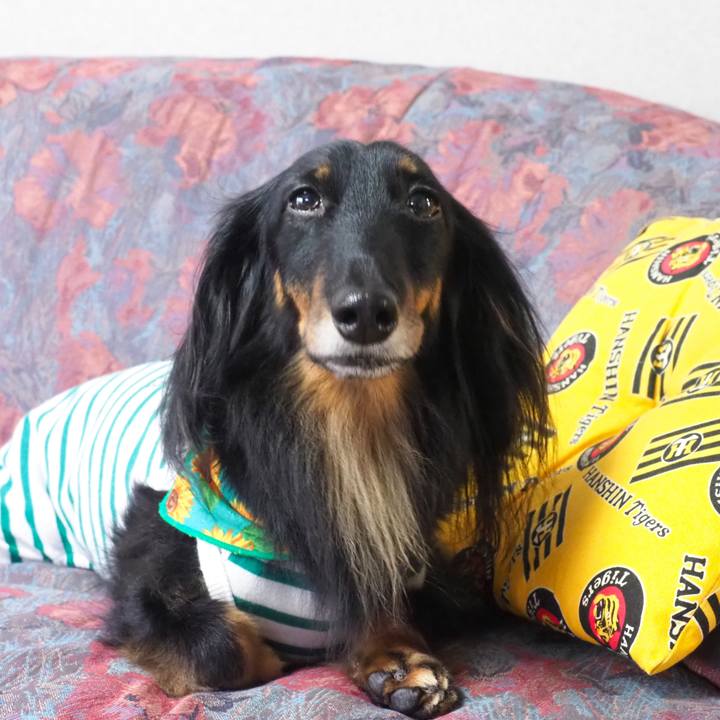 9770f448 425a 4bb9 9416 4eb28fddeb5b 1659331137930