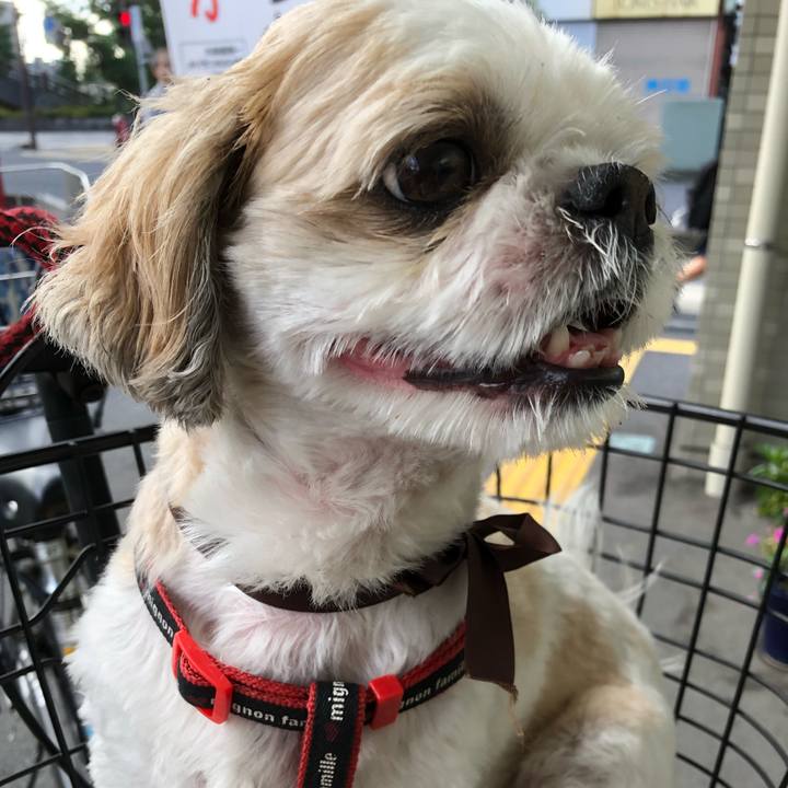 9770f801 9776 482f 9088 4a2eb1db8411 1567980958201