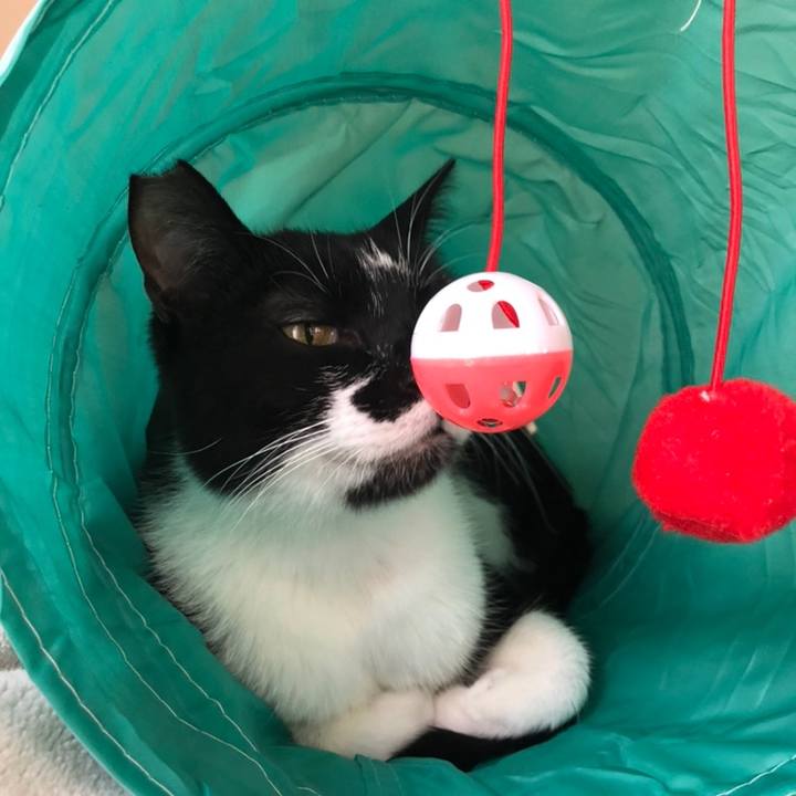 97711341 56ee 479d 9194 fbbda4963e7d 1558526065227