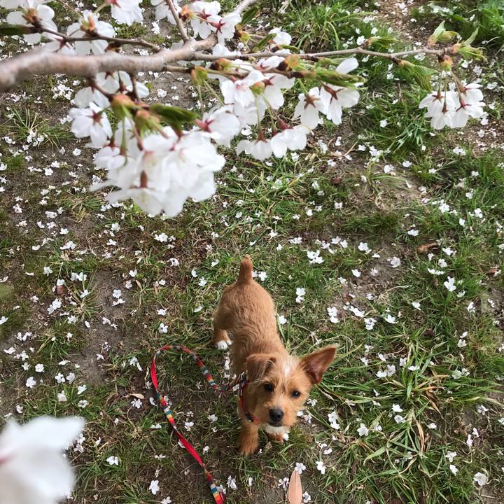 97713044 3c78 42b9 abf6 fee16c5b9b84 1523433905185