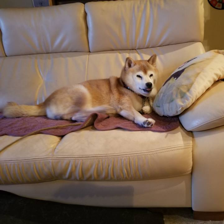 97713928 f38c 451f 9200 809ab85a9a26 1727515556705