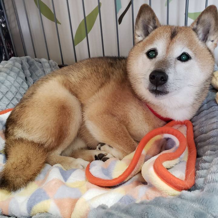 977169c2 7eea 47de 9b39 569bd66afe9f 1668643977864