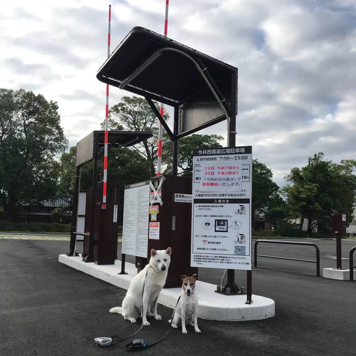 97716be7 ac1f 49d8 b597 b424967a8880 1526768179766