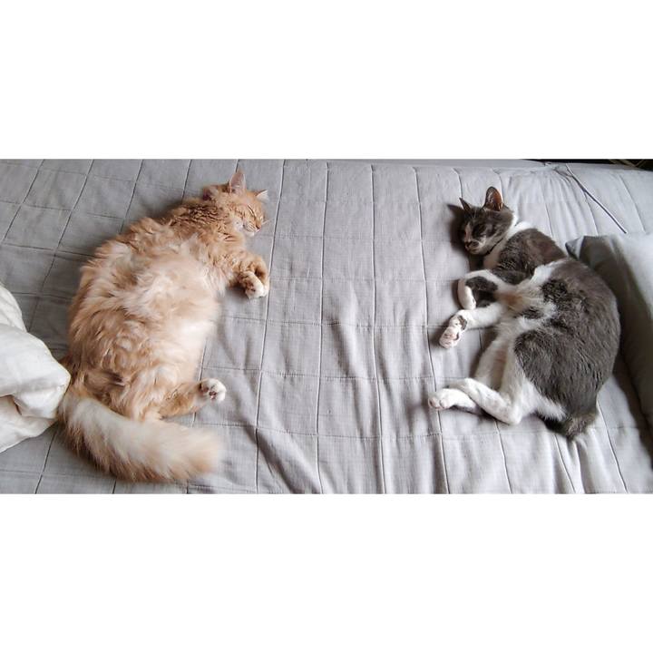 97717bef f4c0 4ac9 a2f2 82d716768e4f 1662178253627