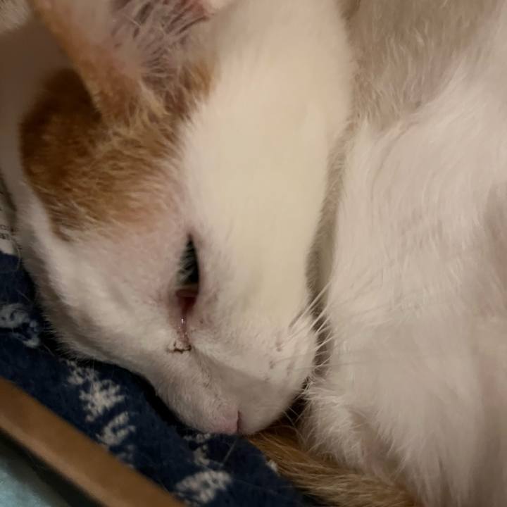 97718319 c999 4231 83ed c47bac24c419 1768920925217