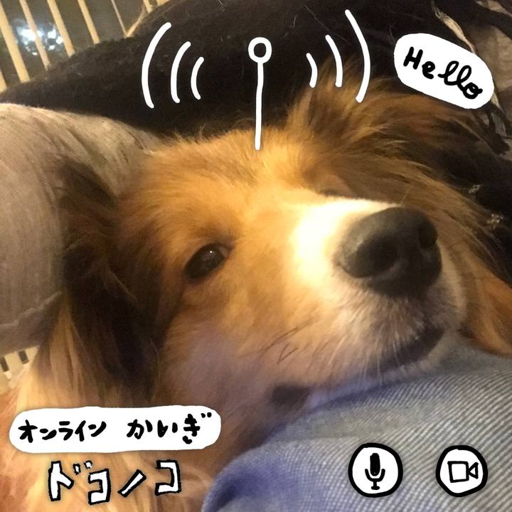 97718bde 0a10 4825 87f9 bc31fc143f74 1590767057636