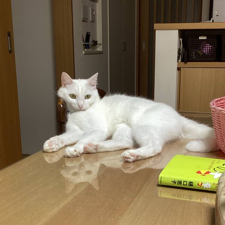 9771c89a 2e71 4a95 926d cf61636146f4 1660774634381