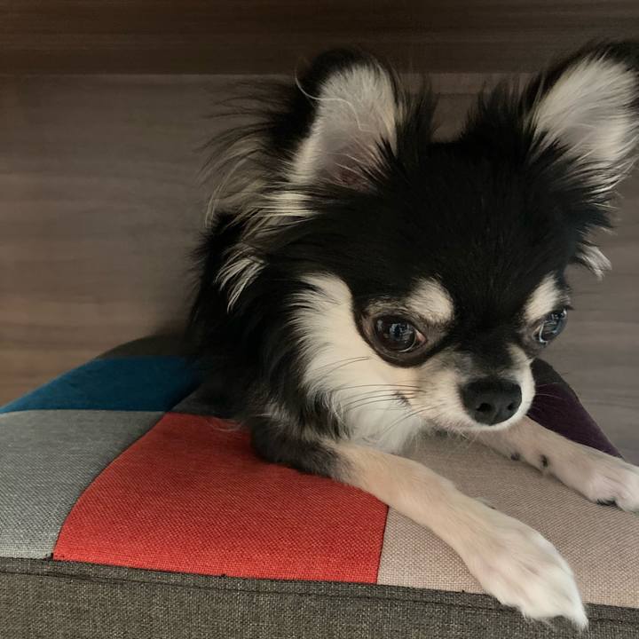 9771d392 fed9 4ed8 9aaa 5525c710af3f 1606478138247