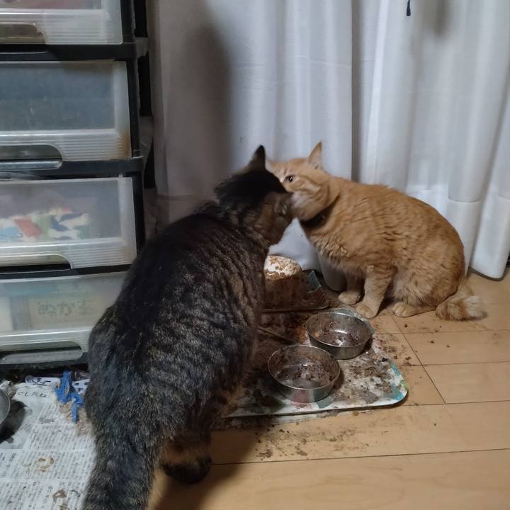 9771ddfc ac44 438e a52e b8275f9c3349 1714601493411