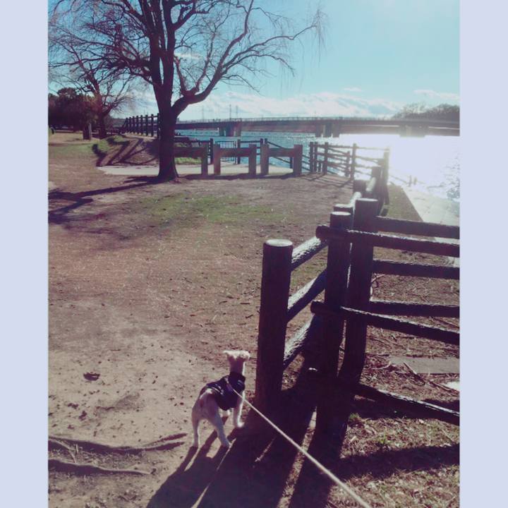 9771f3d6 e13b 4bfb bb67 ca977837807e 1546161901865