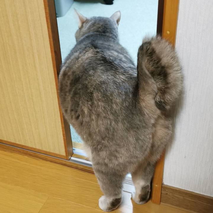 9772315f 71d8 44ac bb5f a946e3af4129 1644766162280