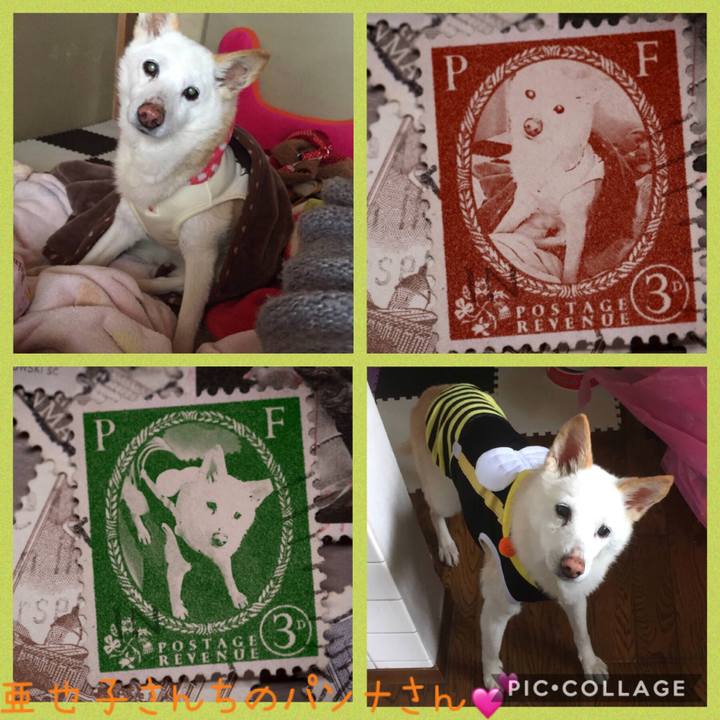 97726a86 dfc3 4186 8497 23ca4e240976 1570377877341