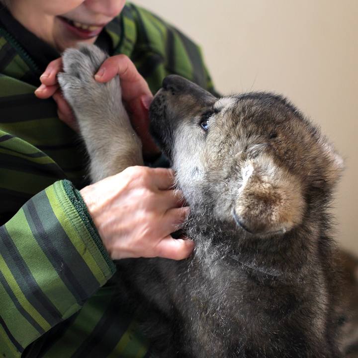 97726c25 8d94 43a7 a2fd d2cdc2b2d73c 1550573824372