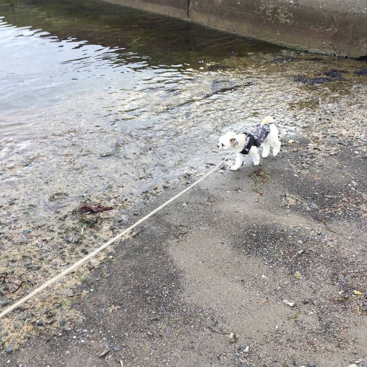 977296db b96a 46e8 8c29 11fc6a0f736f 1530317693177