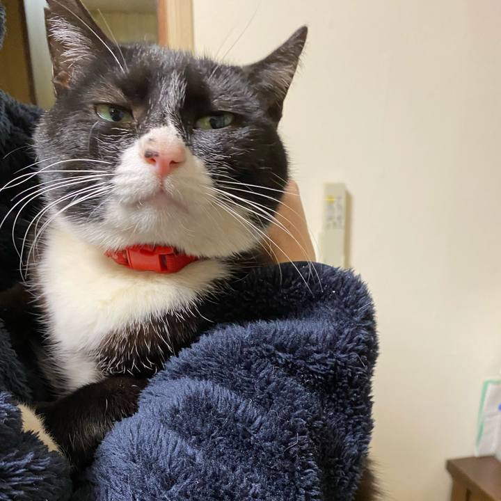 9772b4f0 0ff2 4bfd a0c6 b611a53ac014 1610279233338