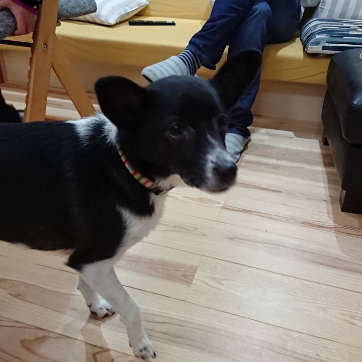 9772ca22 3f3a 422c 9ecc afb9d86c060f 1577014531119