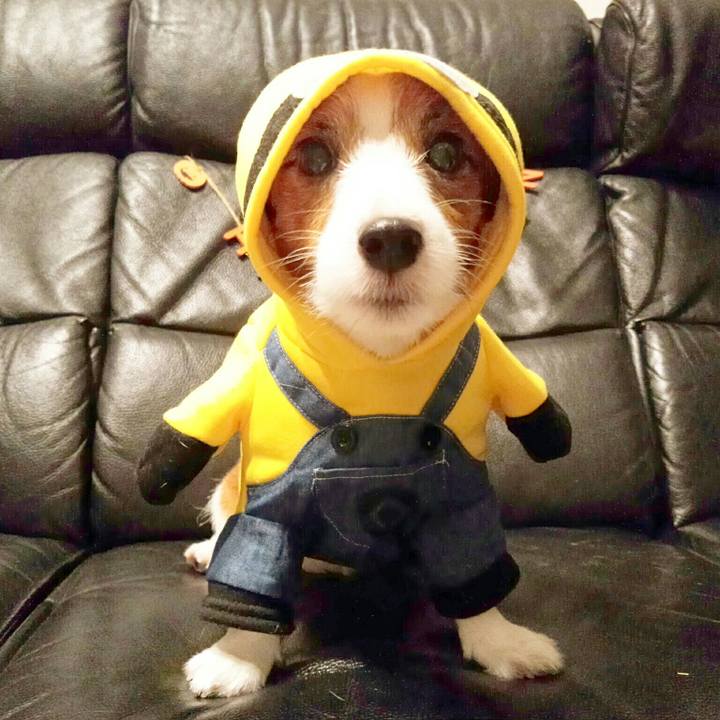 9772d5b2 d90c 4782 ae2a b6ded183d86c 1509446798015