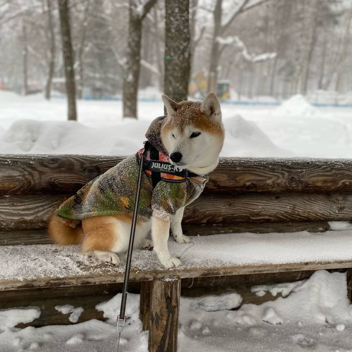 9773029d 5c65 45b5 9b31 044ba6db11bf 1674610531438