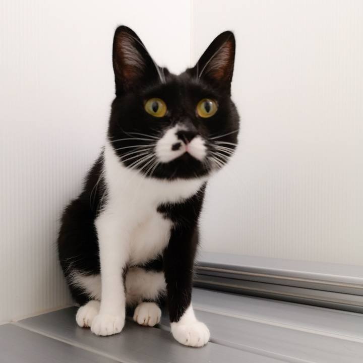 97730d13 72df 4c08 9cb7 69e18351db2d 1544197691849