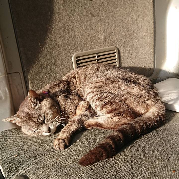 97732091 617c 4bec 99a3 57c77ab5c199 1593723237367