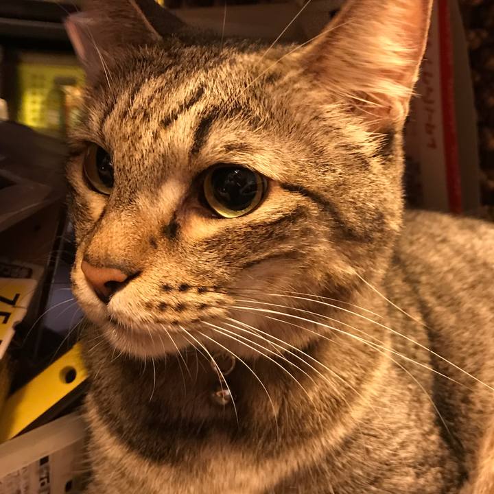 97736bf6 ce31 4ebb a289 60bcb3d42dd6 1537533136628