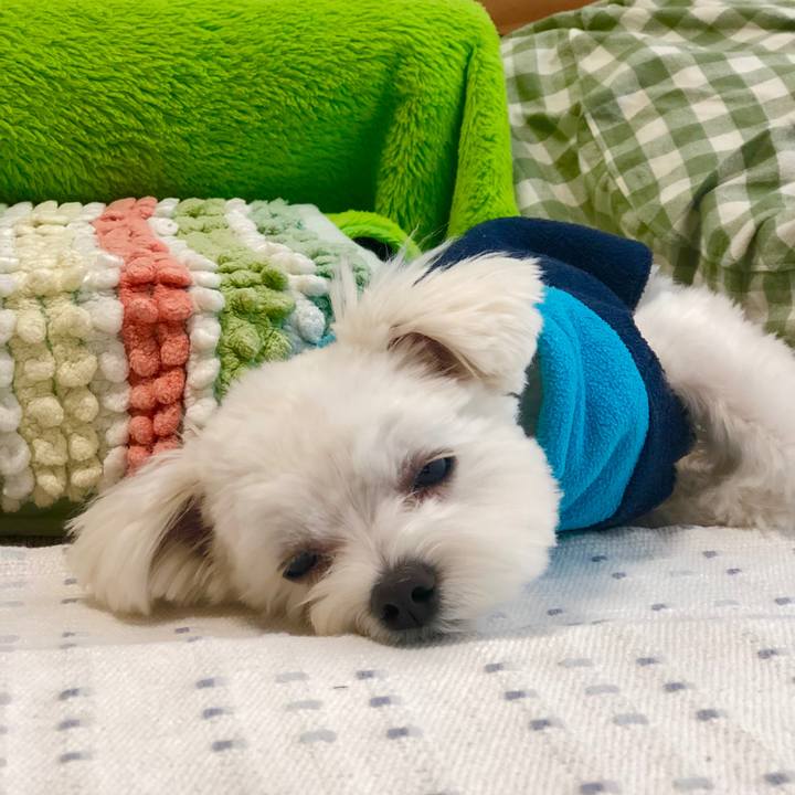 9773731f d889 4849 a415 df4d10957b51 1523684754732