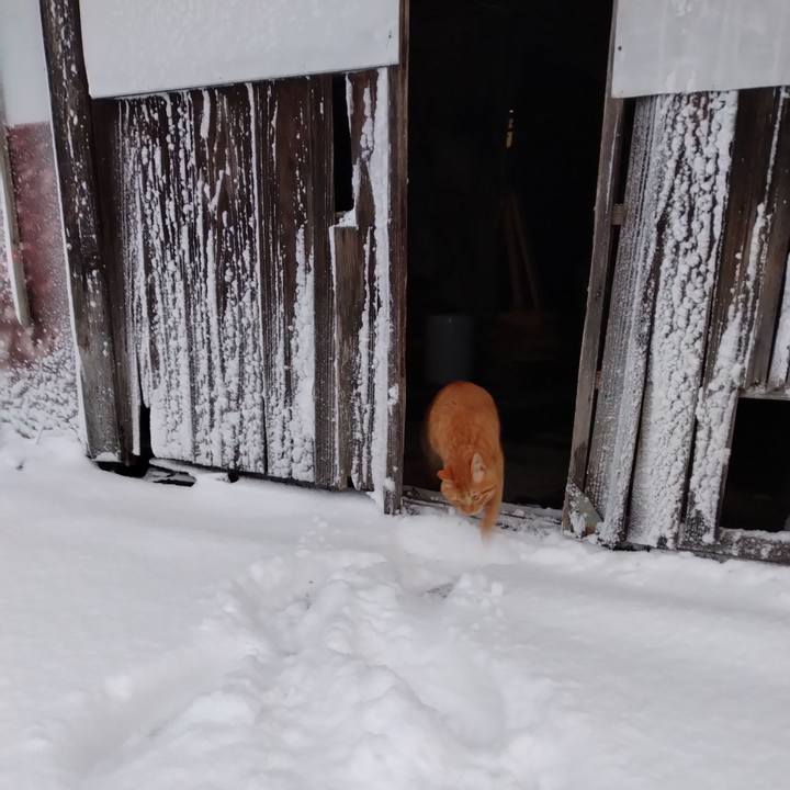 9773cd20 e080 4b8e af76 d83134d70541 1673303374143