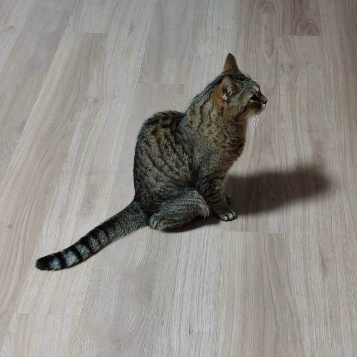 9773ce5b 98b7 4f9b a1b2 c12b55bbb376 1732570876417