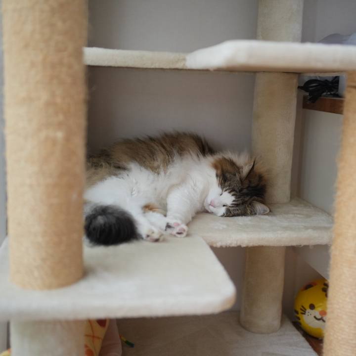 9773d7fe a579 4f09 89cd 726bfbd89adf 1718856100484