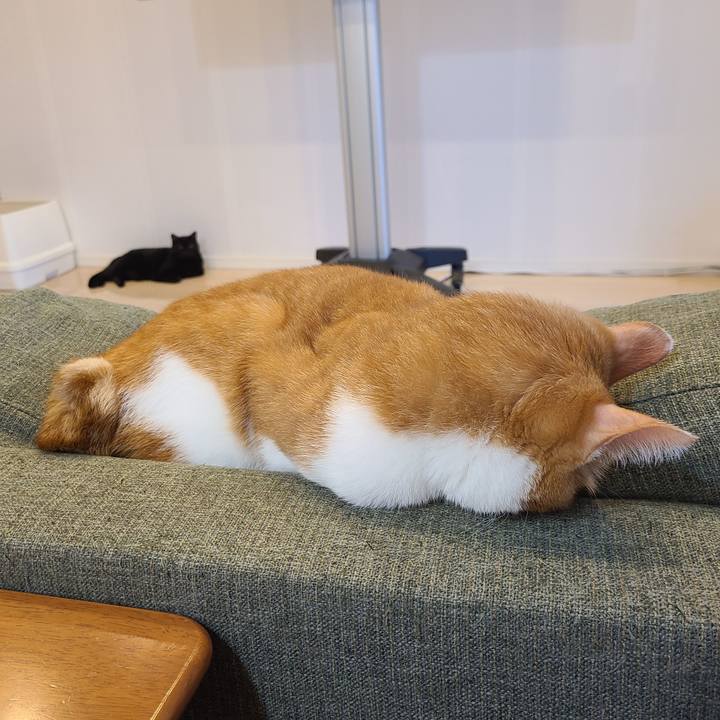 9773e9fc 4a2d 44e7 944b 4772d012ed73 1604301679631