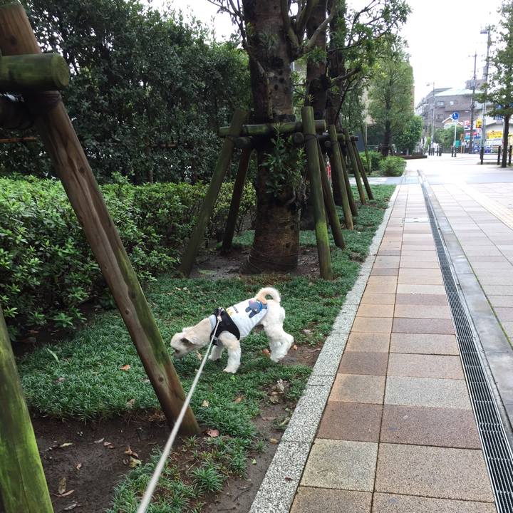 9773f84c 219a 4e51 bc9d 4bd4a9429de3 1538288505463