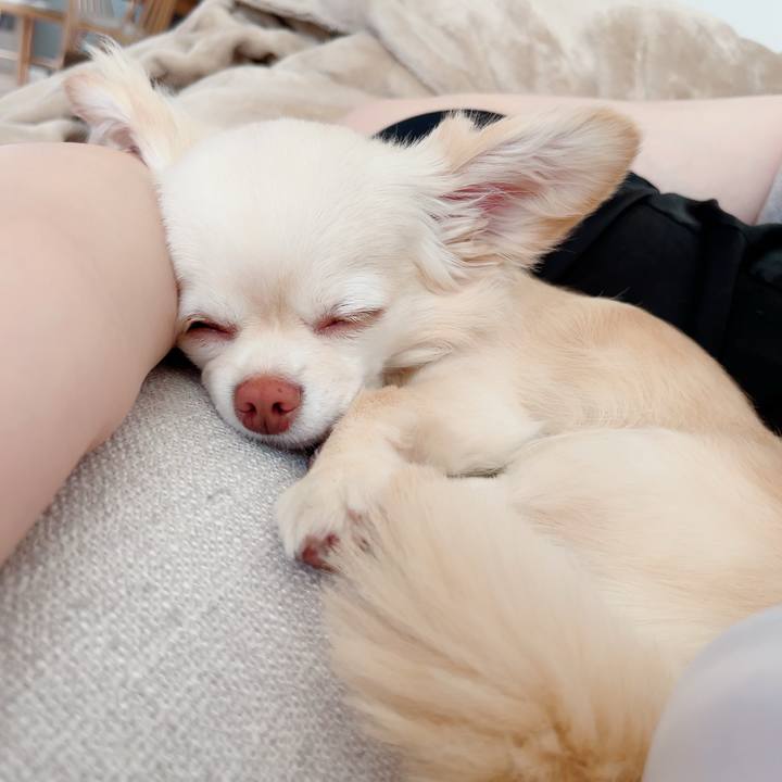 9773fe9f d790 4c59 b754 65eb573cfb61 1716091915216