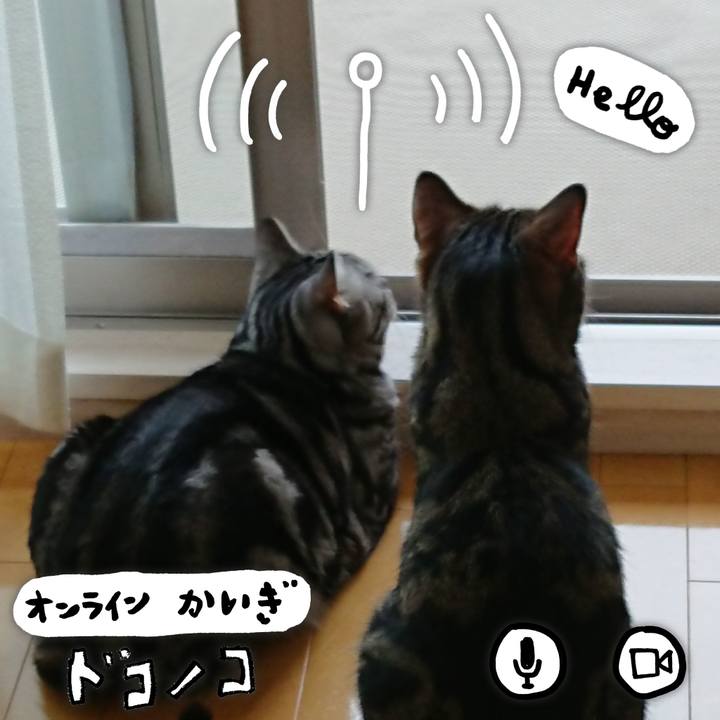 97740949 b178 44ea 8920 bd232f8b1e37 1590733495990