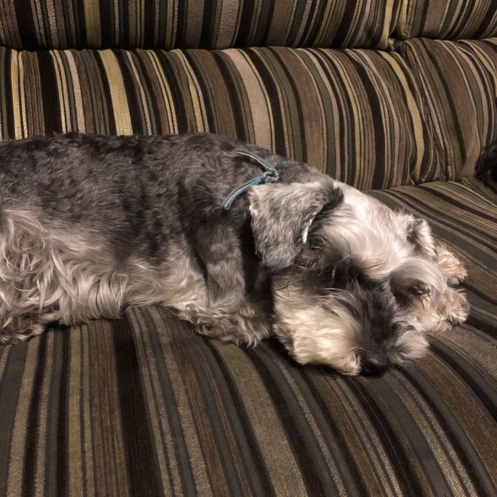 977427f4 ccc9 4564 8f55 0b963c5a0f63 1559133013738