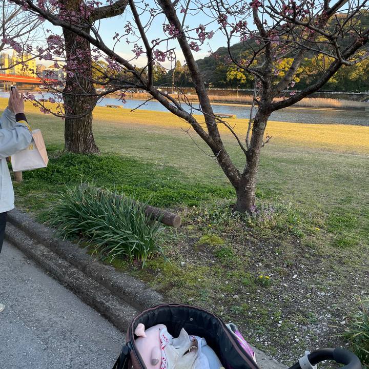 97742ae9 0d24 4378 9f5d 0e7a7ba09926 1678710870093