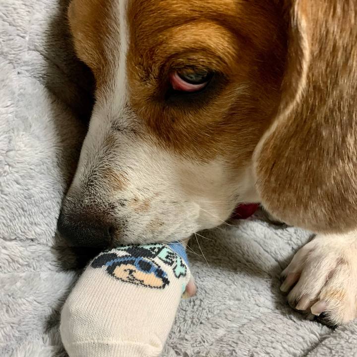 97742b7f 5f3e 409e b9b4 7bbdccc8bf09 1702564942426